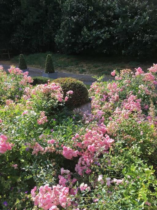 Highfield Lodge Tring Buitenkant foto