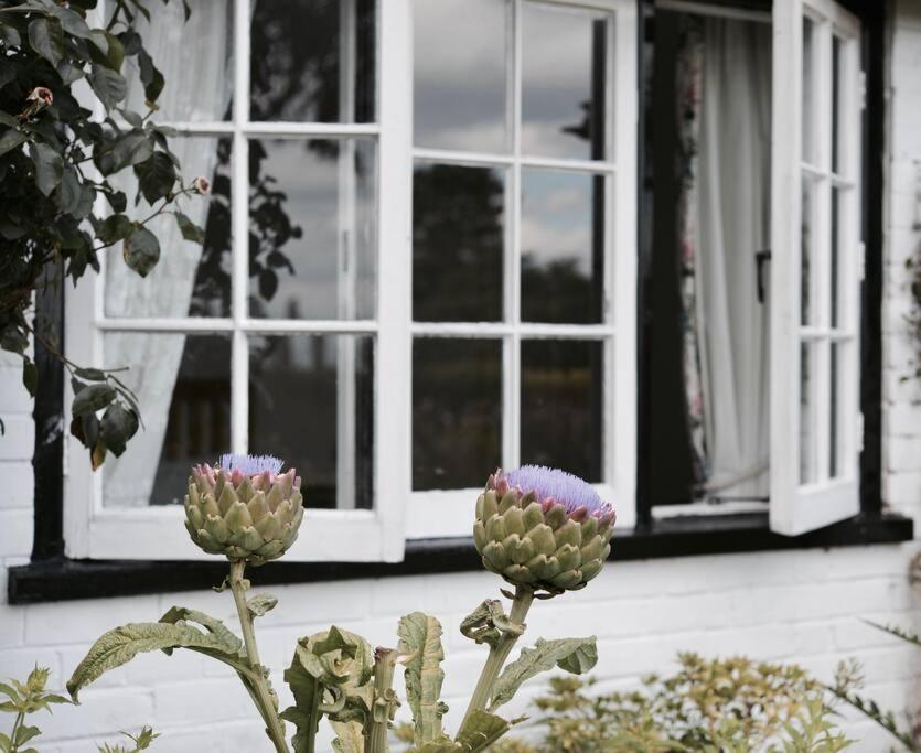 Highfield Lodge Tring Buitenkant foto