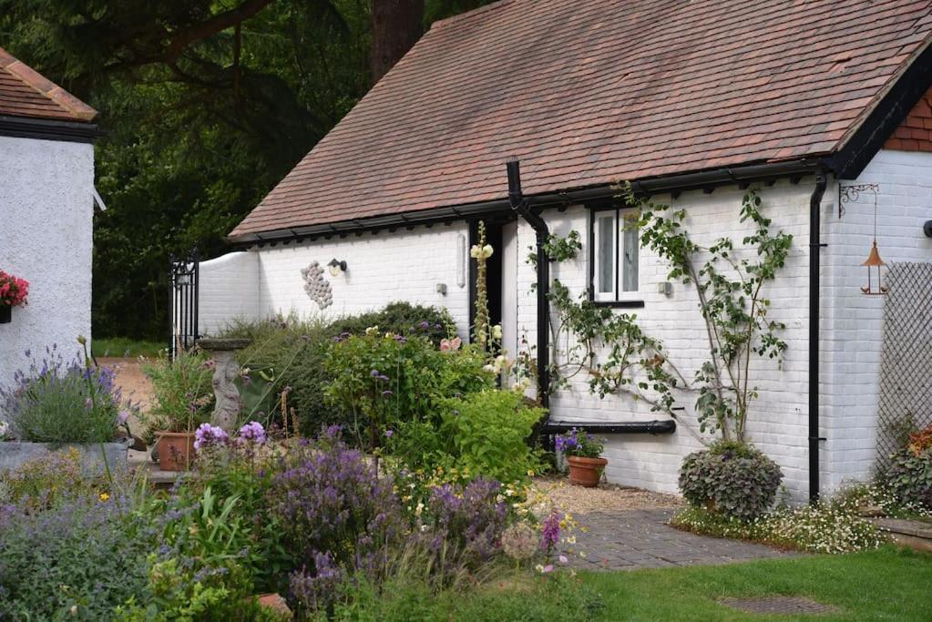 Highfield Lodge Tring Buitenkant foto